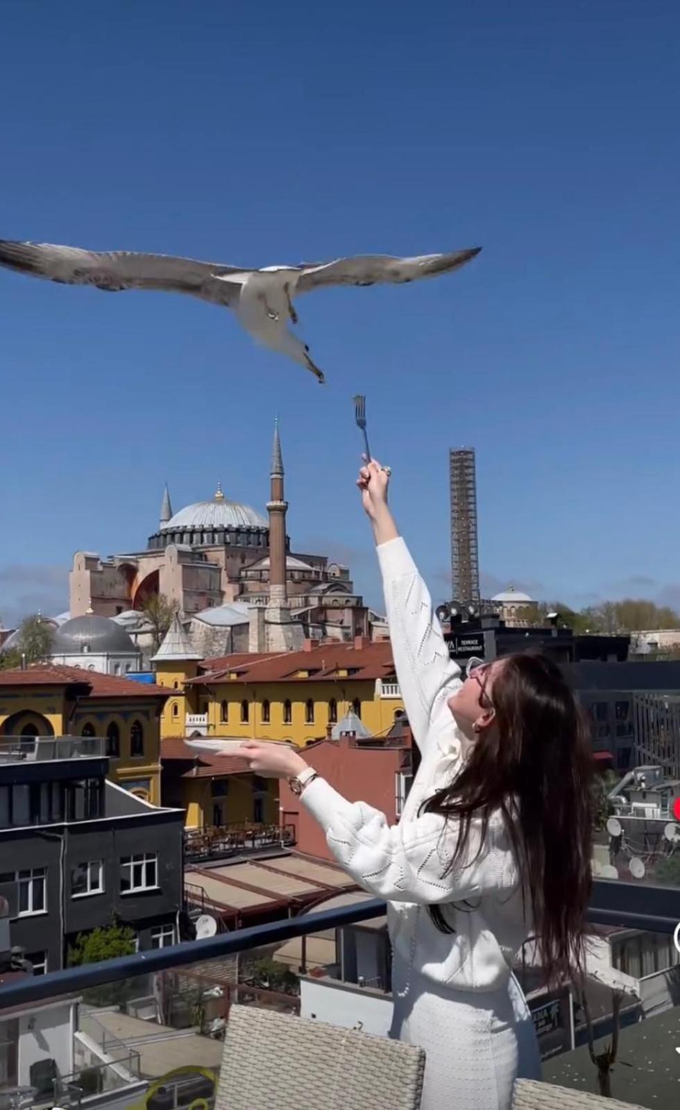 Byzantium Comfort Hotel Istanbulská provincie Exteriér fotografie